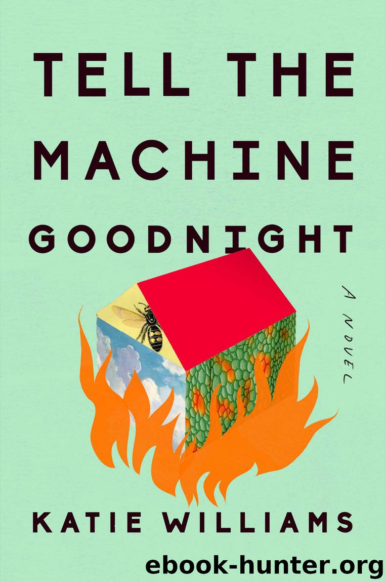 Tell the Machine Goodnight by Katie Williams