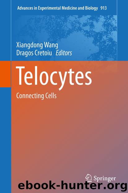Telocytes by Xiangdong Wang & Dragos Cretoiu