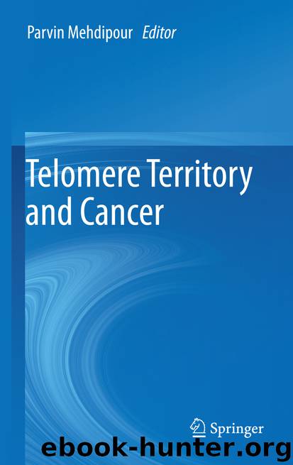 Telomere Territory and Cancer by Parvin Mehdipour