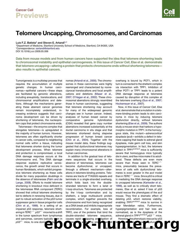 Telomere Uncapping, Chromosomes, and Carcinomas by Luis F.Z. Batista; Steven E. Artandi