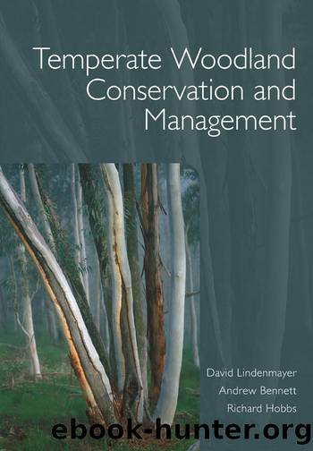 Temperate Woodland Conservation and Management by Lindenmayer David;Bennett Andrew;Hobbs Richard;