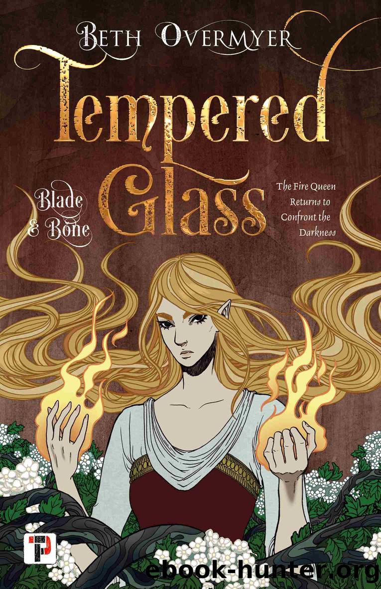 Tempered Glass by Beth Overmyer