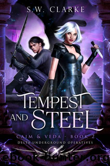 Tempest and Steel - Caim and Veda (Book 2): Delta Underground Operatives by S.W. Clarke