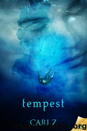 Tempest by Cari Z