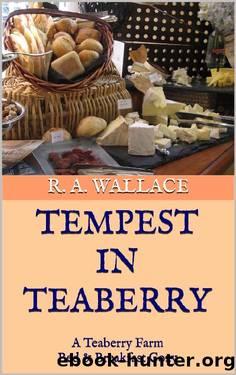 Tempest in Teaberry (A Teaberry Farm Bed & Breakfast Cozy Book 1) by R. A. Wallace