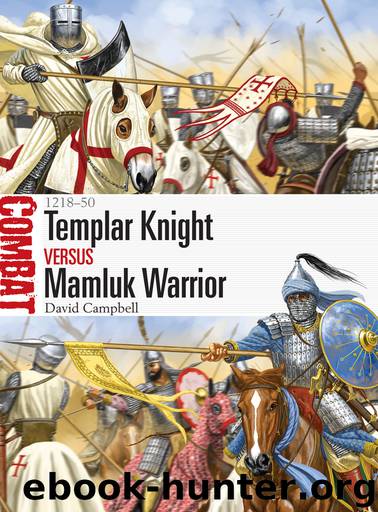 Templar Knight vs. Mamluk Warrior by David Campbell