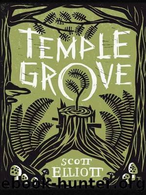 Temple Grove by Scott Elliott