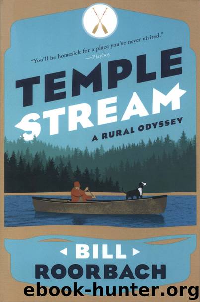 Temple Stream by Bill Roorbach