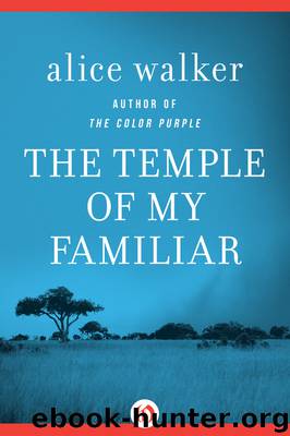 Temple of My Familiar by Alice Walker