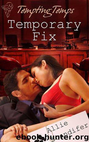 Temporary Fix by Allie Standifer