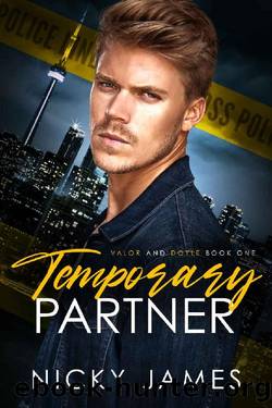 Temporary Partner (Valor and Doyle Book 1) by Nicky James