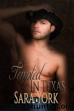 Tempted In Texas by York Sara