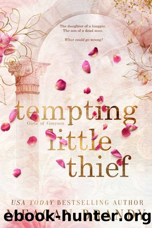 Tempting Little Thief by Brandy Meagan