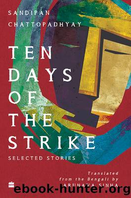 Ten Days of the Strike by Sandipan Chattopadhyay