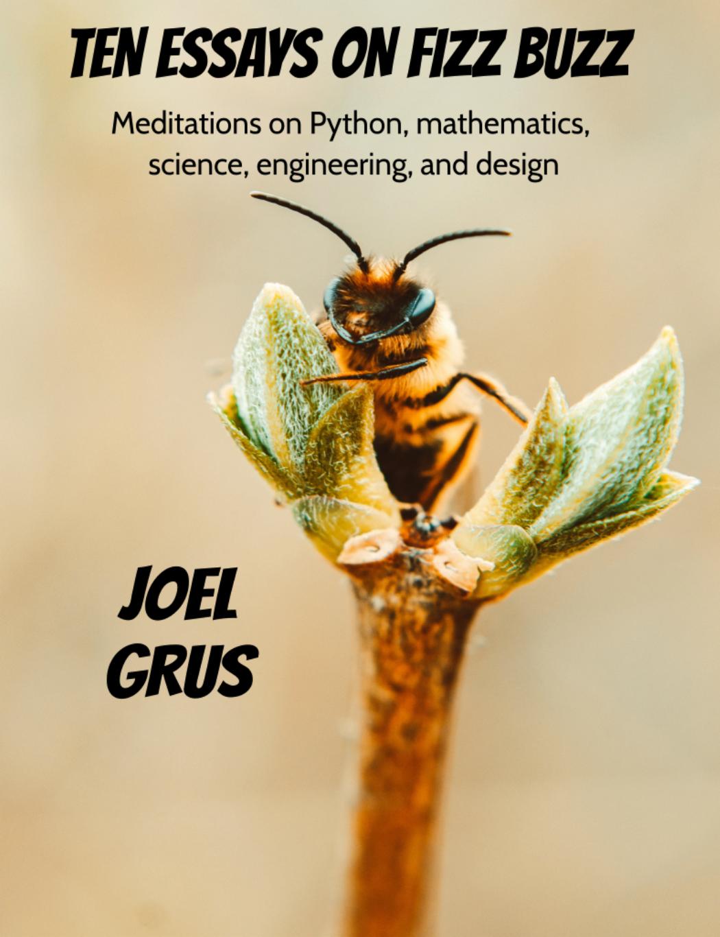 Ten Essays on Fizz Buzz: Meditations on Python, Mathematics, Science, Engineering, and Design by Joel Grus