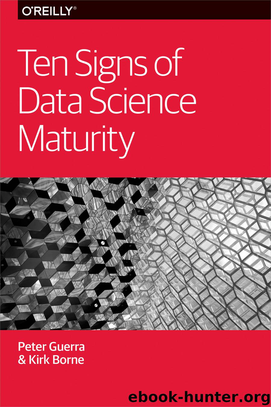 Ten Signs of Data Science Maturity by Peter Guerra & Kirk Borne