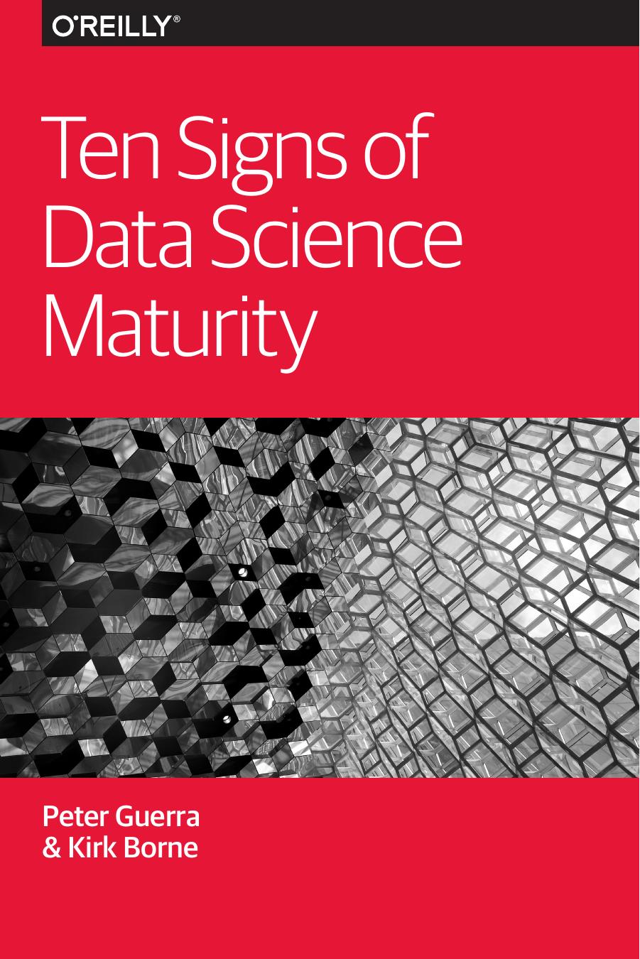 Ten Signs of Data Science Maturity by Peter Guerra && Kirk Borne