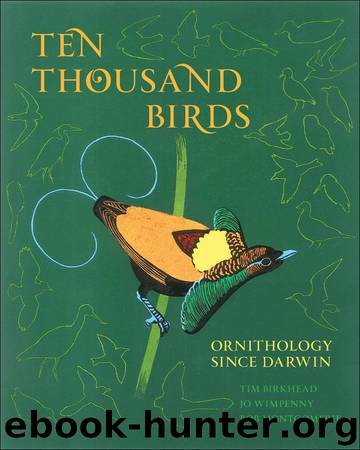 Ten Thousand Birds by Birkhead Tim; Wimpenny Jo; Montgomerie Bob
