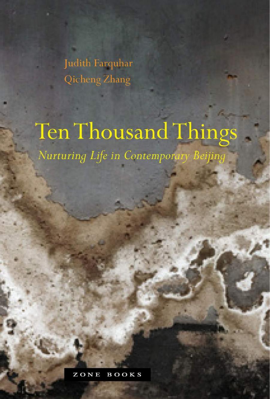 Ten Thousand Things by Farquhar Judith; Zhang Qicheng;