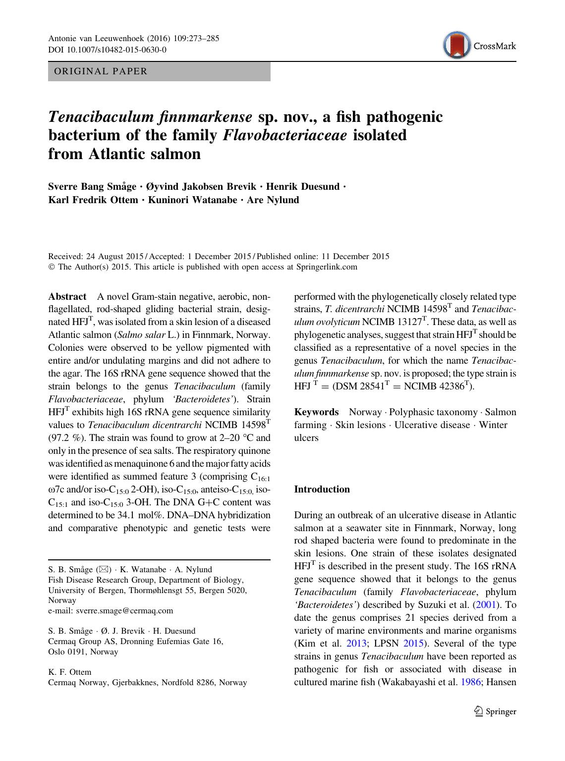 Tenacibaculum finnmarkense sp. nov., a fish pathogenic bacterium of the family Flavobacteriaceae isolated from Atlantic salmon by unknow