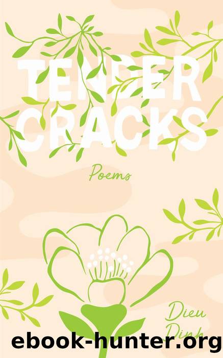 Tender Cracks by Dieu Dinh