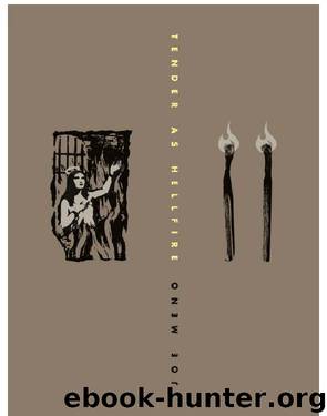 Tender as Hellfire by Joe Meno