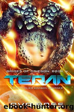 Teran: A Sci-Fi Alien Dragon Romance (Brides of Driegon Book 4) by Ava Ross
