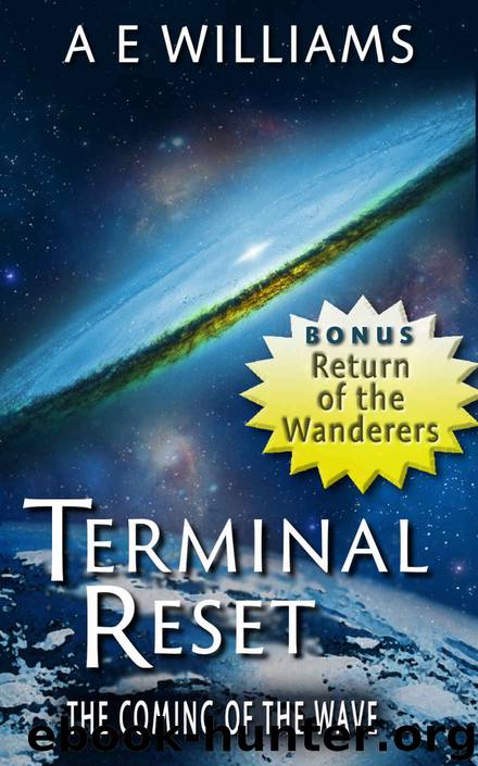 Terminal Reset Omnibus: The Coming of The Wave by A.E. Williams