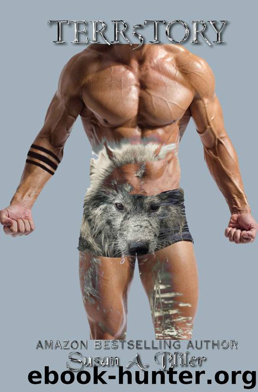 Terr5tory (Territory Series) by Bliler Susan