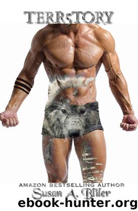 Terr5tory by Susan Bliler