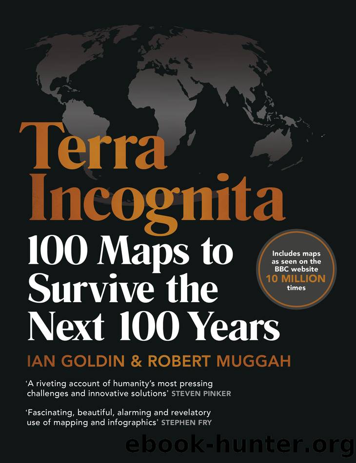 Terra Incognita by Ian Goldin & Robert Muggah
