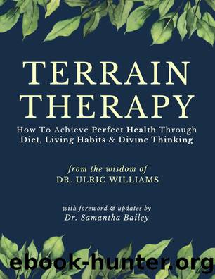 Terrain Therapy by Unknown