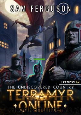 Terramyr Online: The Undiscovered Country: A LitRPG Adventure by Sam Ferguson