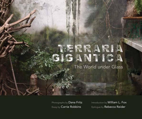 Terraria Gigantica: The World Under Glass by sdickey