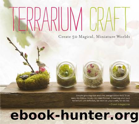 Terrarium Craft by Amy Bryant Aiello & Kate Bryant