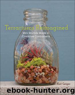 Terrariums Reimagined by Kat Geiger