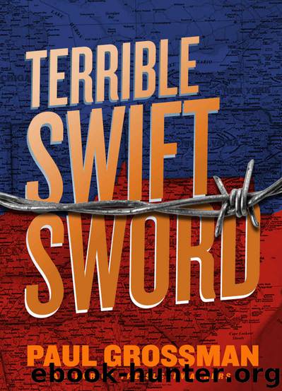 Terrible Swift Sword by Paul Grossman