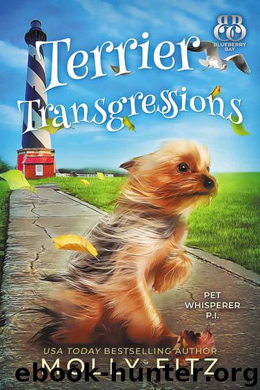 Terrier Transgressions by Molly Fitz