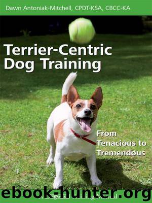 Terrier-Centric Dog Training: From Tenacious to Tremendous by Dawn Antoniak-Mitchell