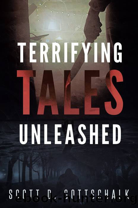 Terrifying Tales Unleashed by Scott D. Gottschalk