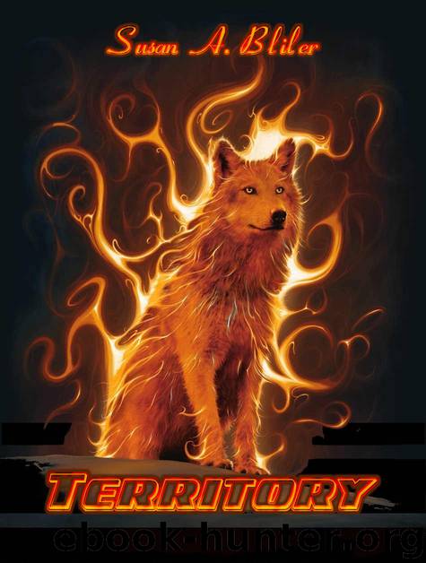 Territory (Territory series Book 2) by Bliler Susan