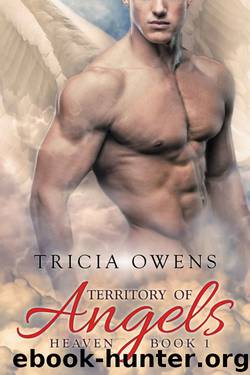 Territory of Angels by Tricia Owens