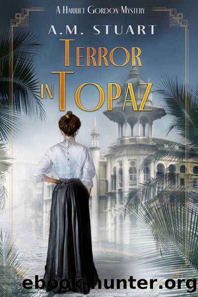 Terror In Topaz by A.M. Stuart