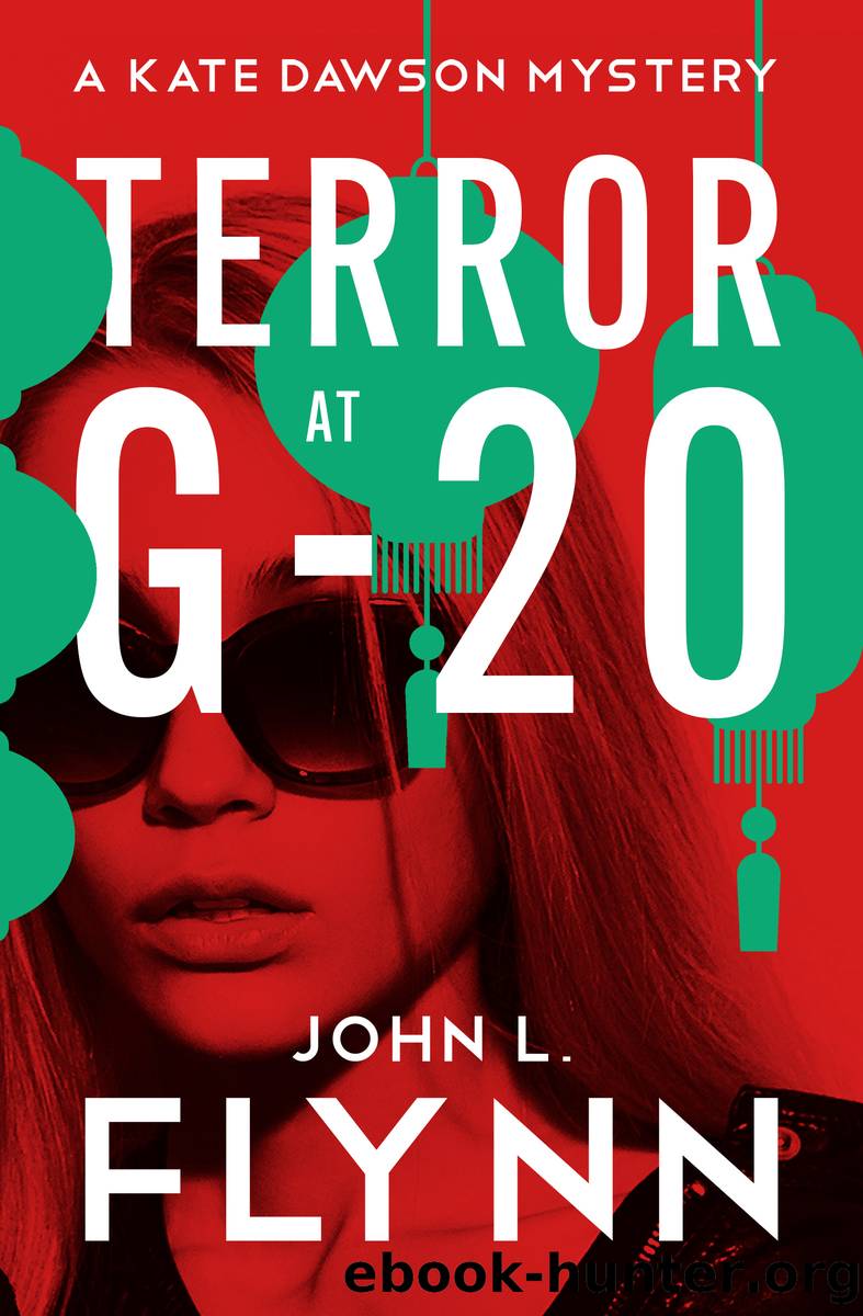 Terror at G-20 by John L. Flynn