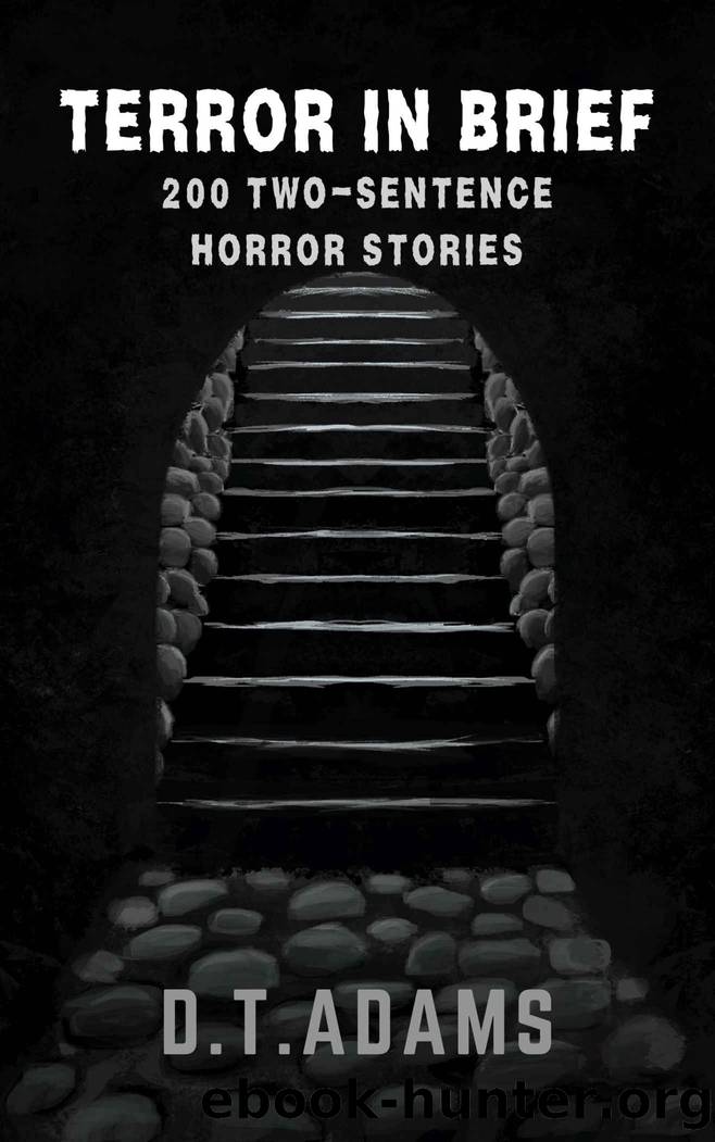 Terror in Brief: 200 Two-Sentence Horror Stories by D. T. Adams