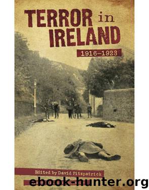 Terror in Ireland 1916–1923 by David Fitzpatrick