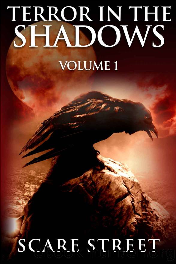 Terror in the Shadows Vol. 1: Horror Short Stories Collection with Scary Ghosts, Paranormal & Supernatural Monsters by A.I. Nasser & Ron Ripley & Sara Clancy & David Longhorn & Scare Street