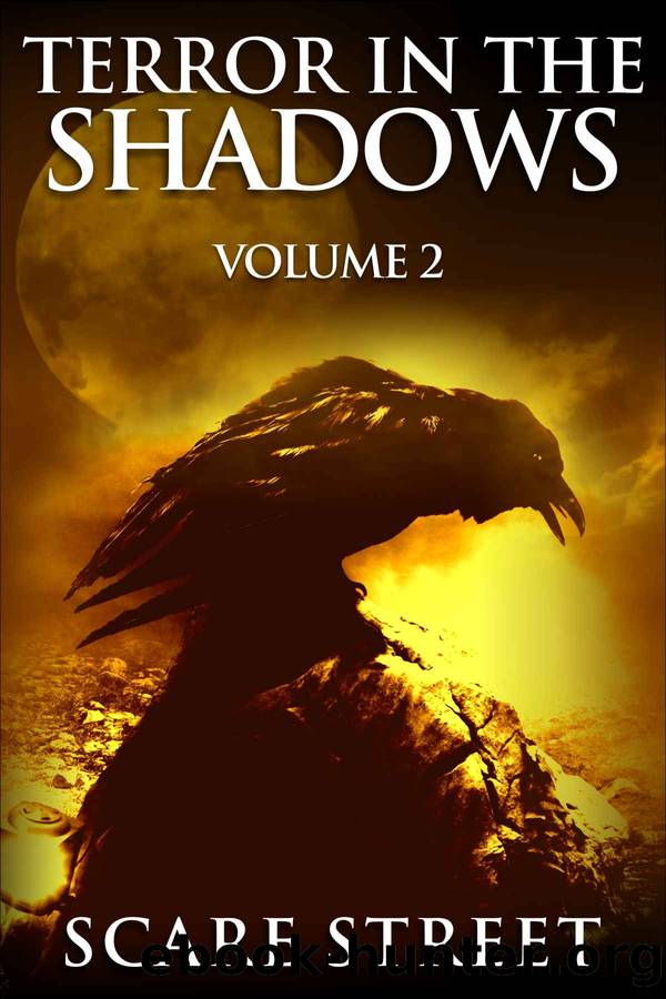 Terror in the Shadows Vol. 2: Horror Short Stories Collection with Scary Ghosts, Paranormal & Supernatural Monsters by unknow
