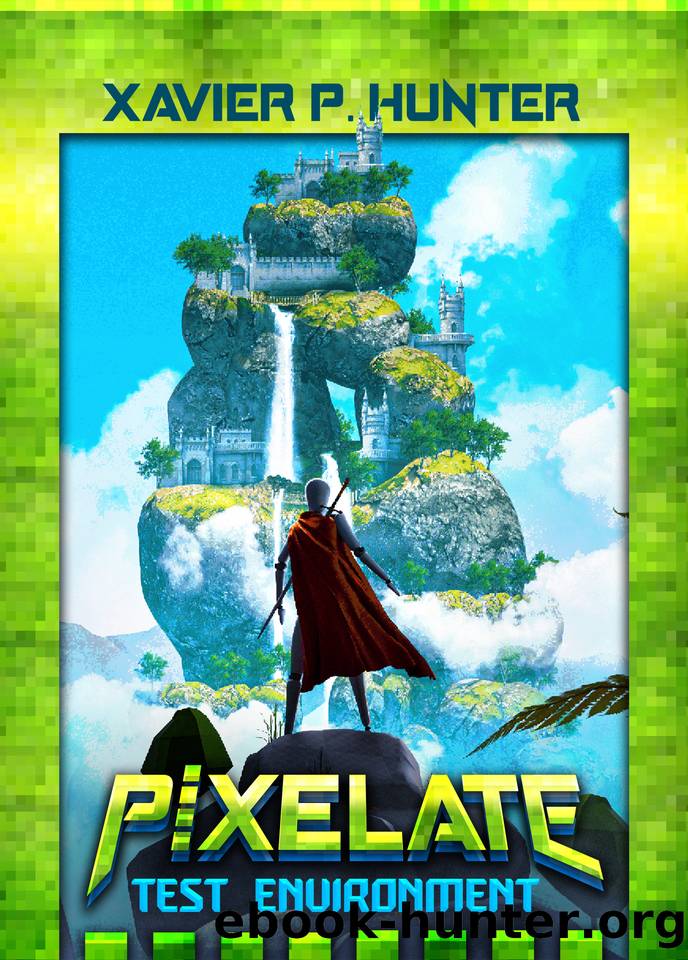 Test Environment: A LitRPG fantasy book (Pixelate 1) by Xavier P. Hunter