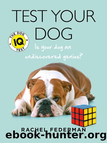 Test Your Dog by Rachel Federman